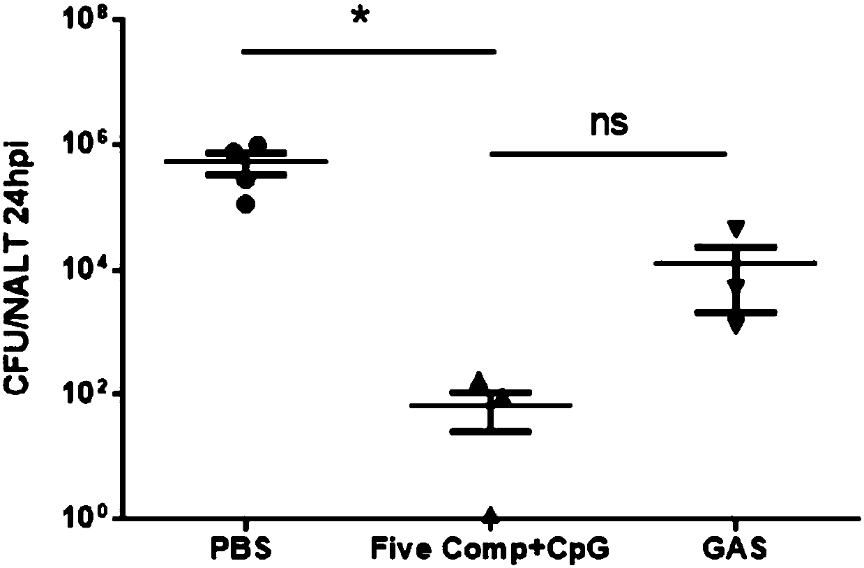 Broad-spectrum multi-subunit vaccine for preventing A type streptococcal infection