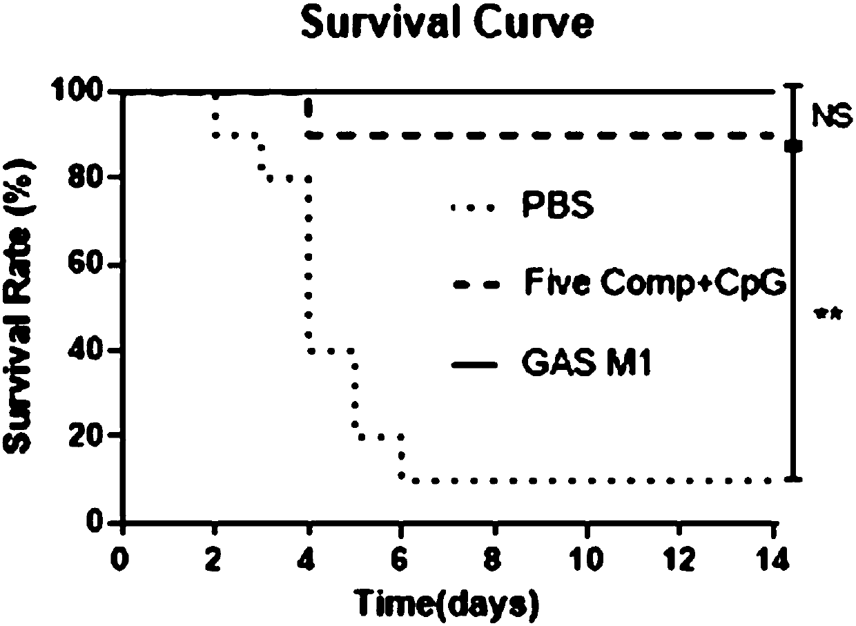 Broad-spectrum multi-subunit vaccine for preventing A type streptococcal infection