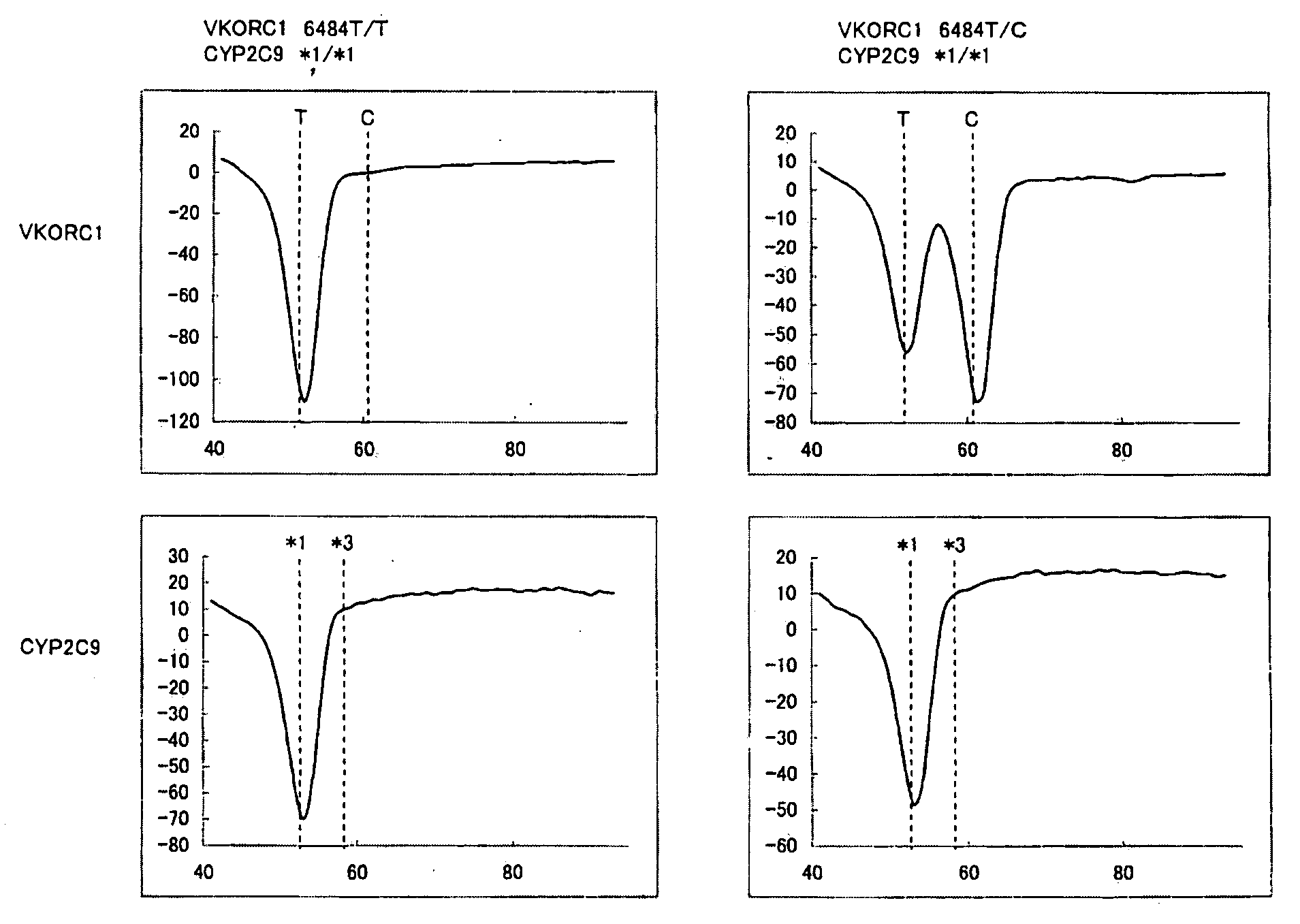 Primer set for gene amplification, reagent for gene amplification including the same, and uses thereof