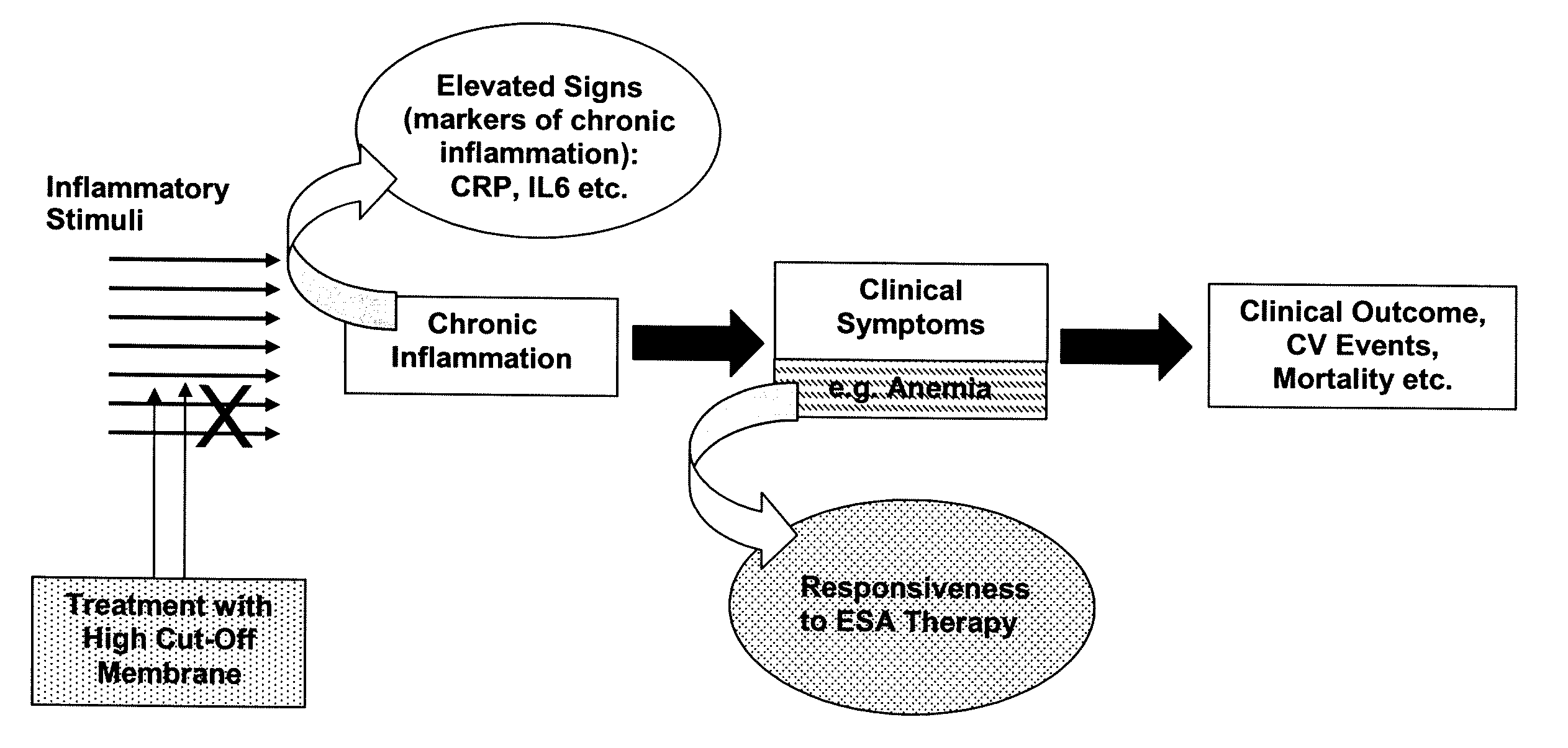 Method for Treating Anemia in Hemodialysis Patients