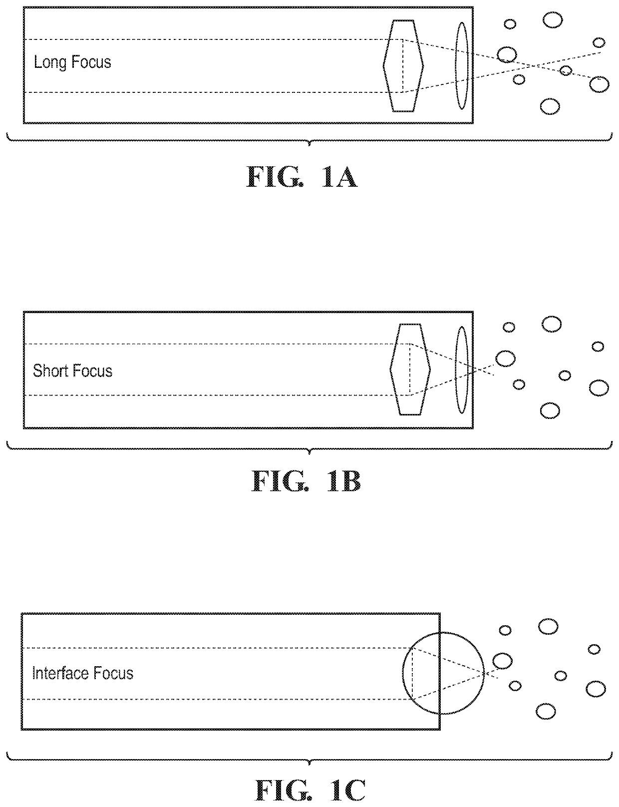 Raman immersion probe systems and methods