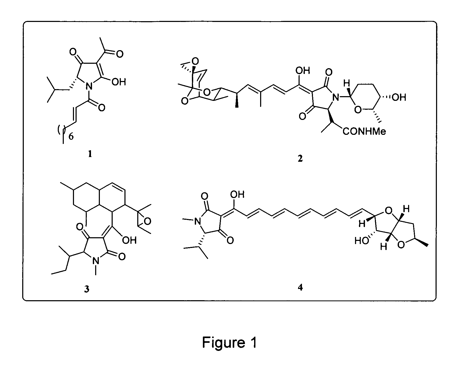 Analogs of tetramic acid