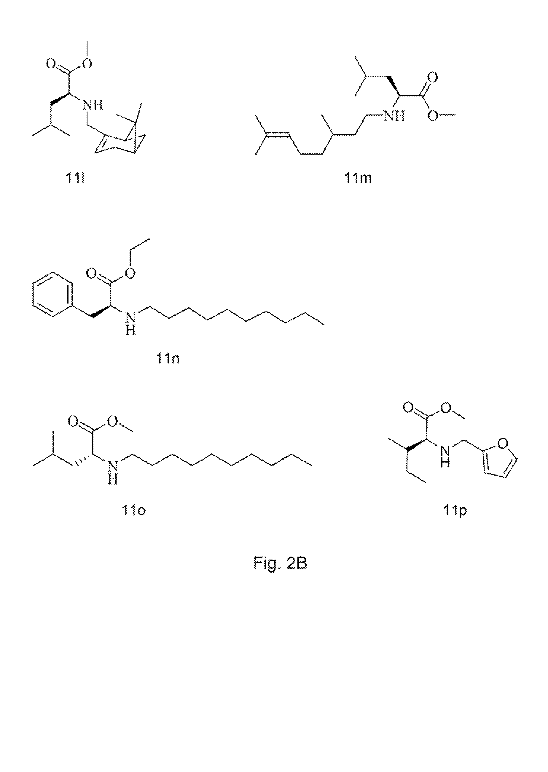 Analogs of tetramic acid