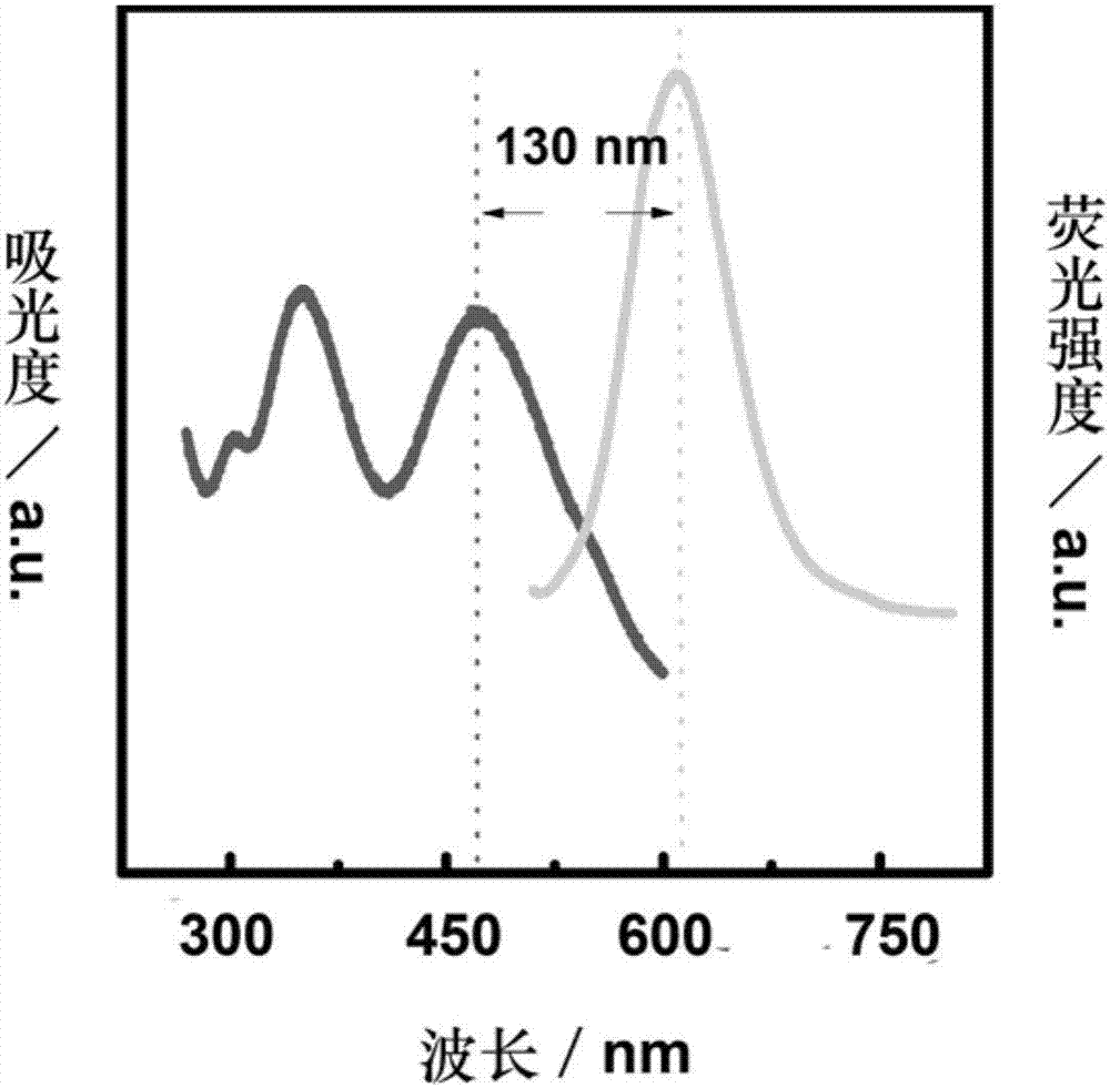 DNA silver nano-clusters and in-situ synthesis method and application of DNA silver nano-clusters in cells