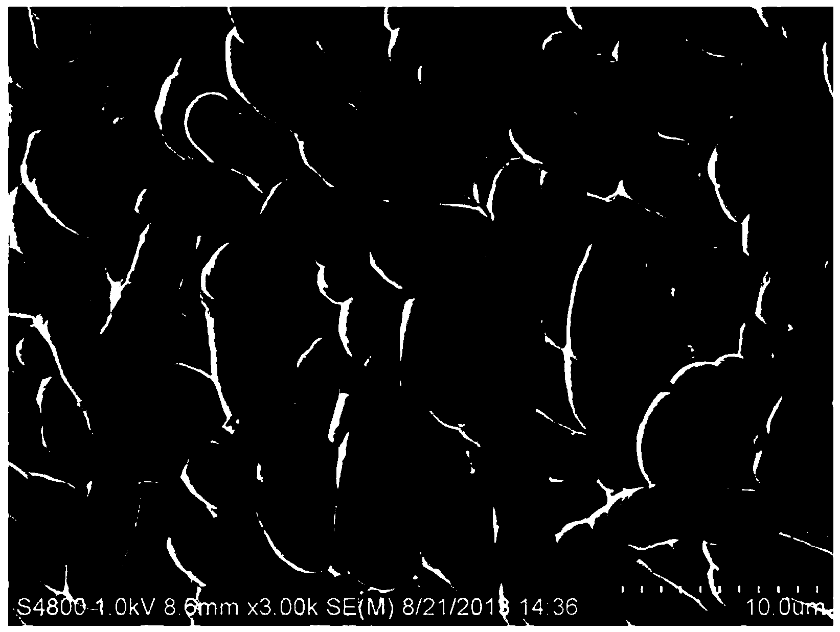 Polycrystal texturing auxiliary and application method thereof