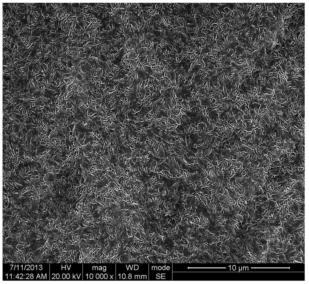 High-wear-resisting high-strength ultra-high molecular weight polyvinyl artificial articular material and preparation method thereof