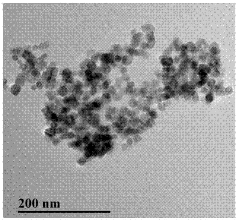 A method for functionalized magnetic bead separation-enzyme-linked aptamer detection of oxytetracycline in food