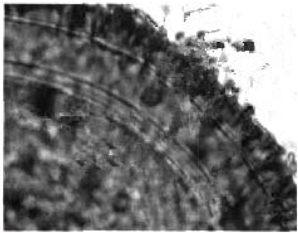 Arbuscular mycorrhizal fungi efficiently degrading atrazine and promoting plant growth and application of arbuscular mycorrhizal fungi