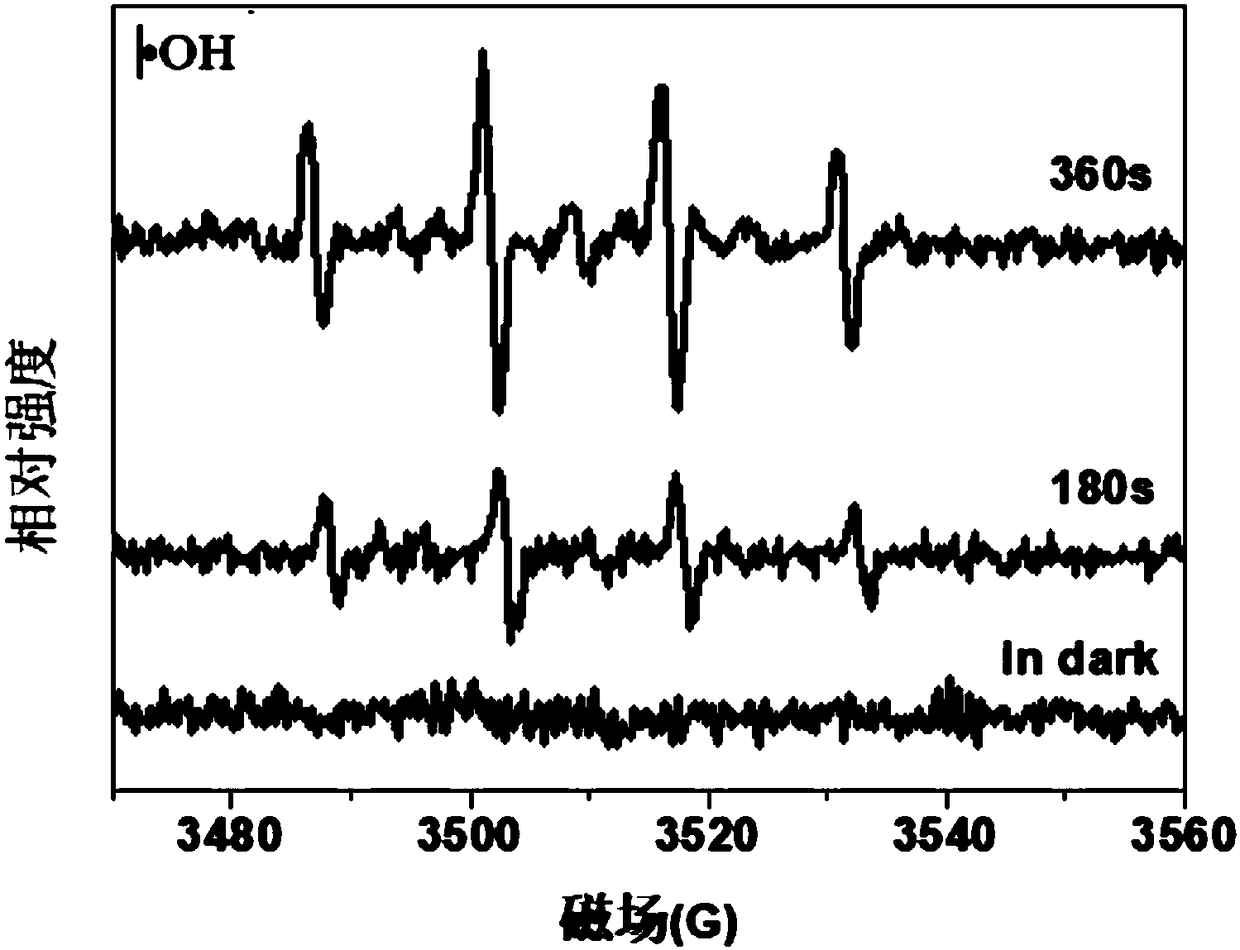 Method for utilizing nitrate ions to degrade and decolorize dye