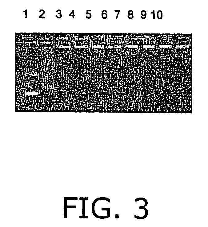 Biodegradable poly(beta-amino esters) and uses thereof