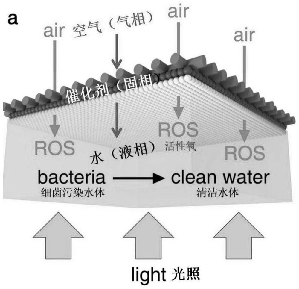 A photocatalytic gas-solid-liquid three-phase interface with adjustable wettability and its preparation method and application