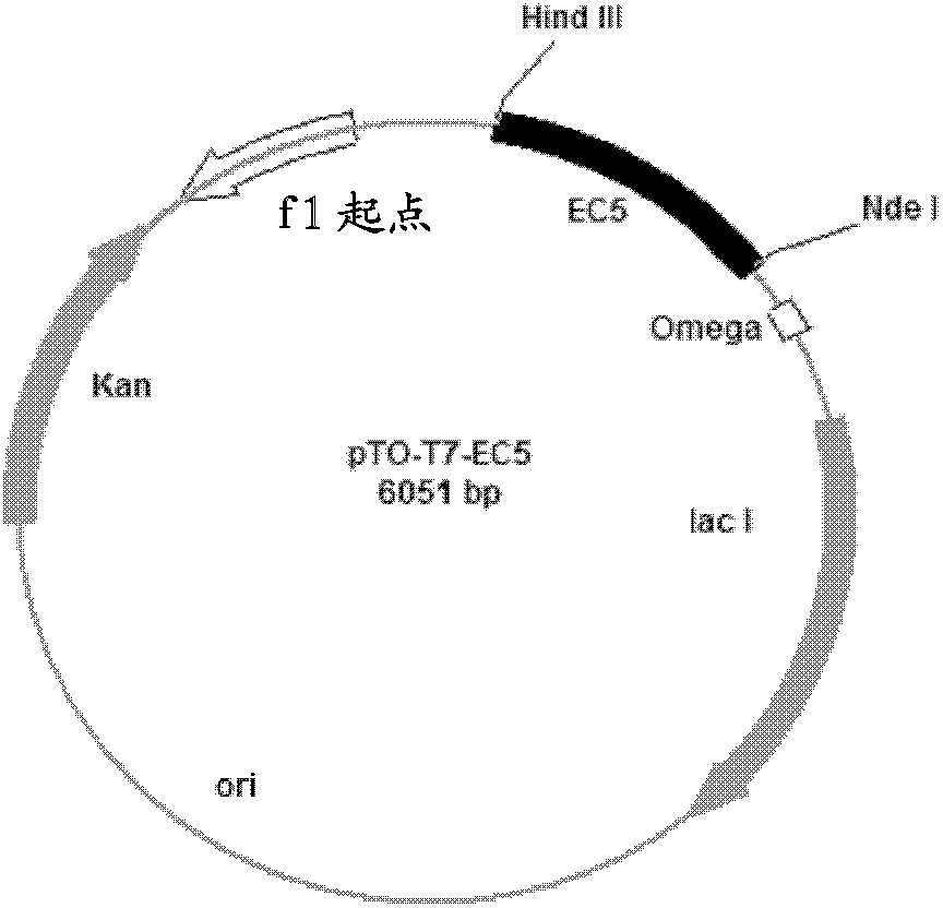 Chimeric recombinant antigen and application thereof