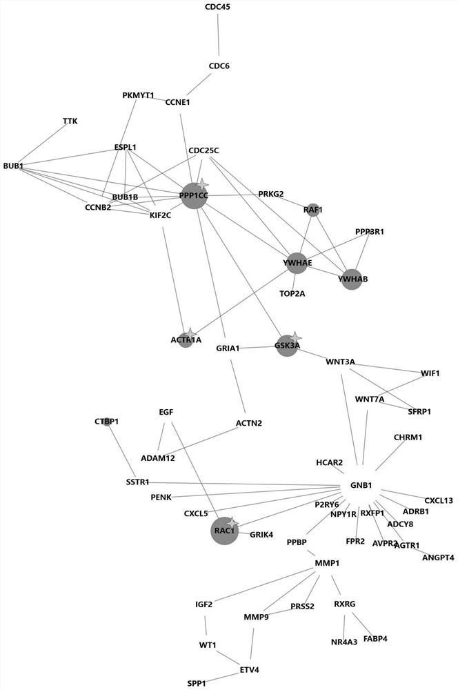 Non-differential gene associated with malignant phenotype of tumor cell as well as screening method and application of non-differential gene