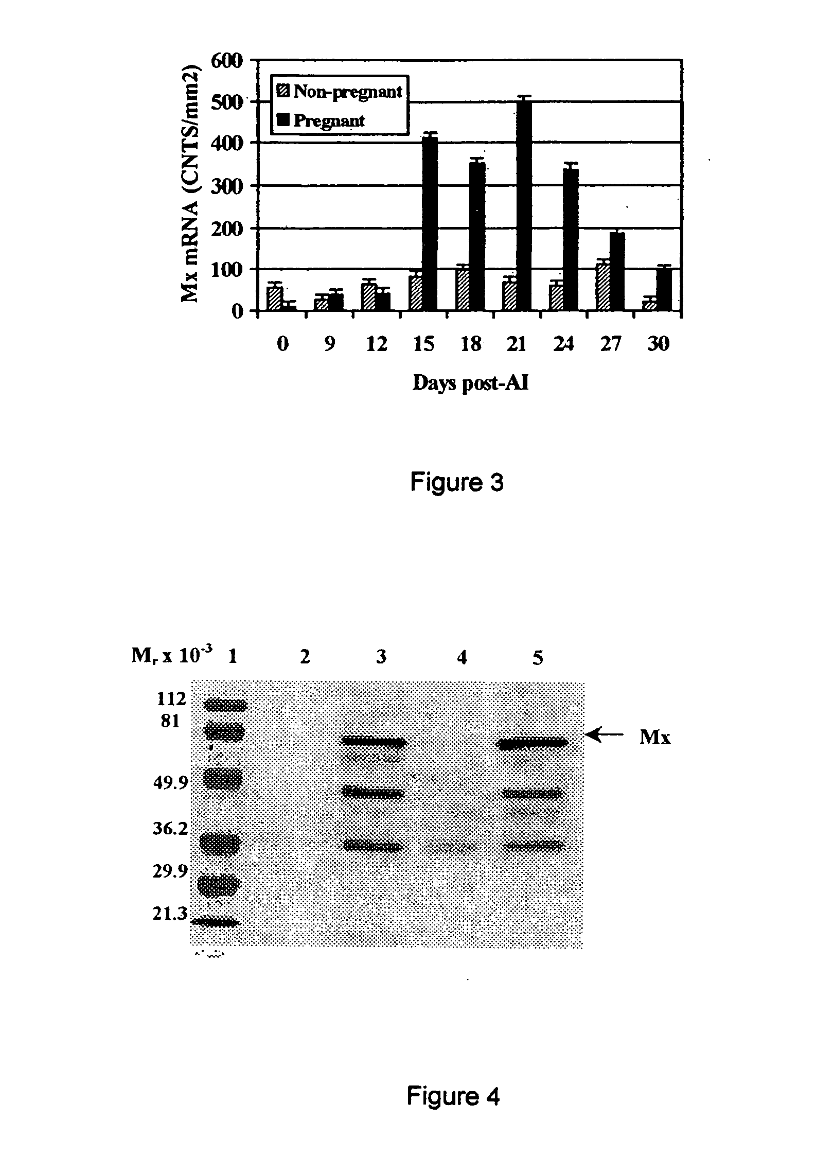 Determination of pregnancy status