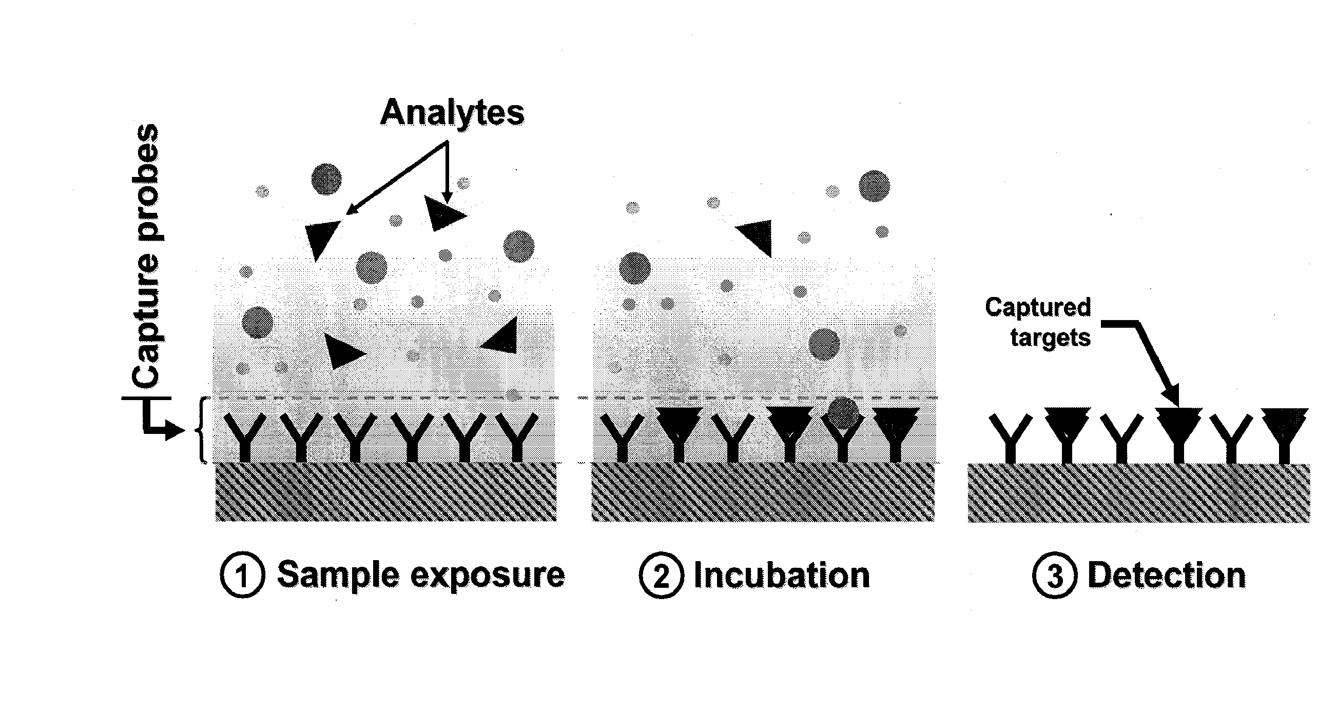 Real Time Microarrays