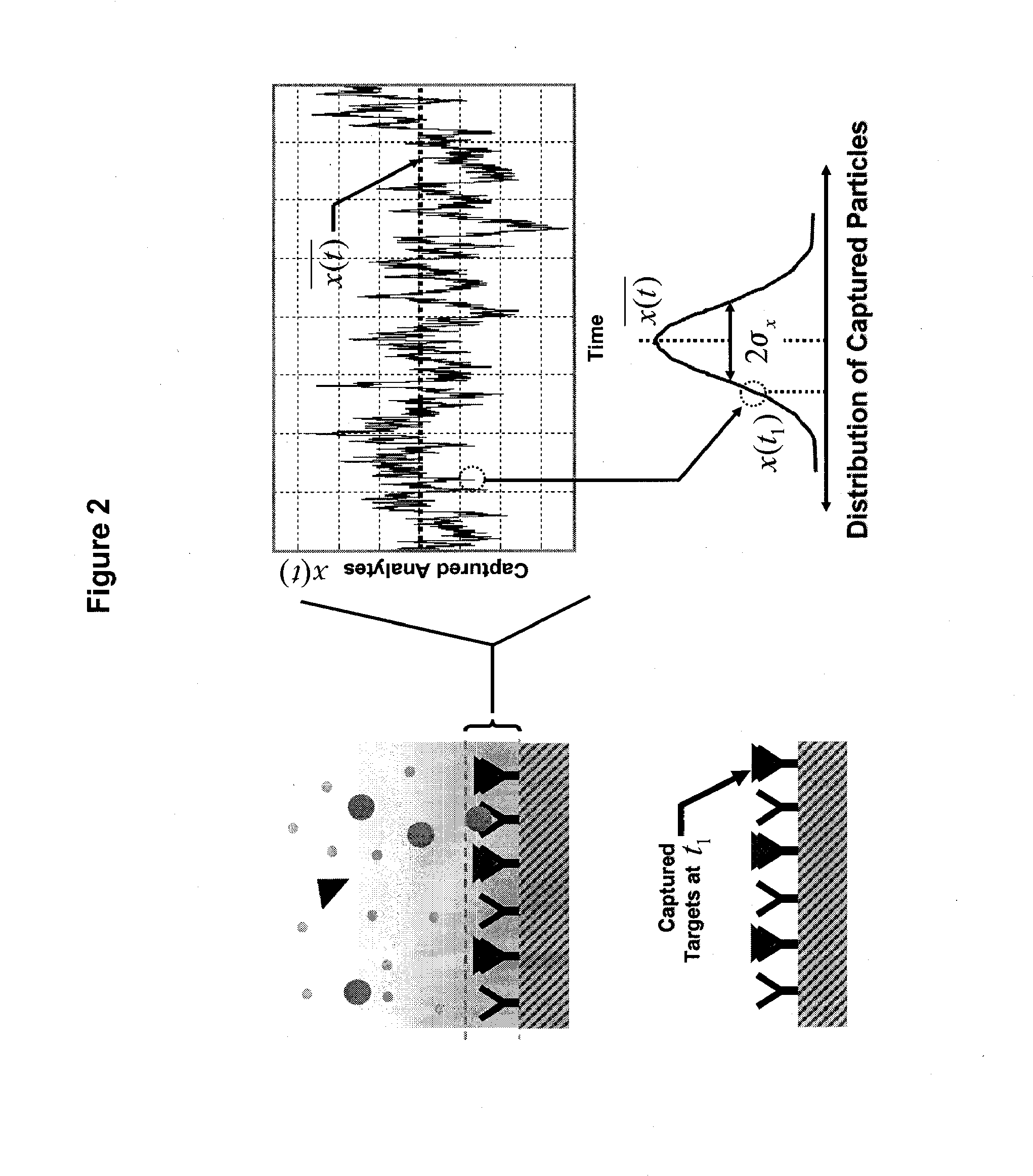 Real Time Microarrays