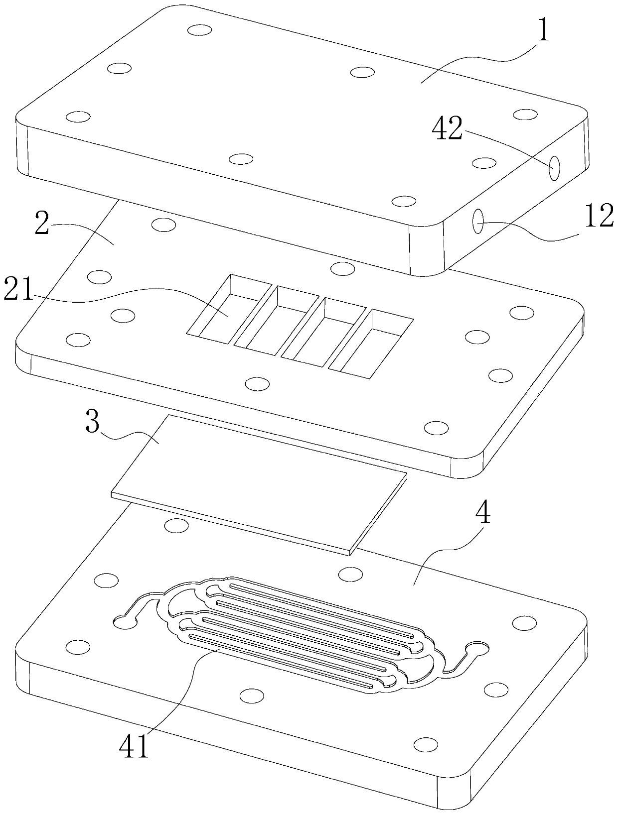 Skin chip for gas-liquid phase culture