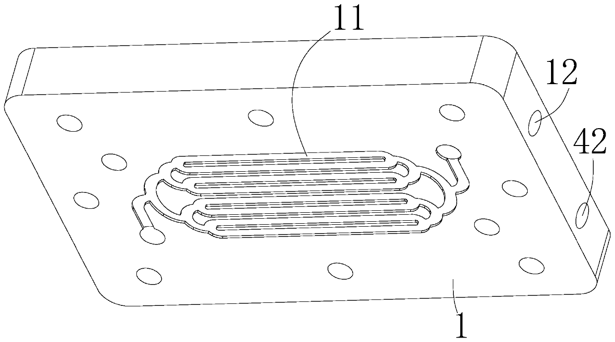 Skin chip for gas-liquid phase culture