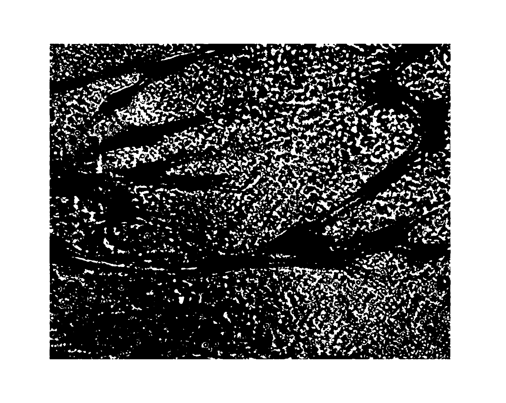 Dermis equivalent constructing method