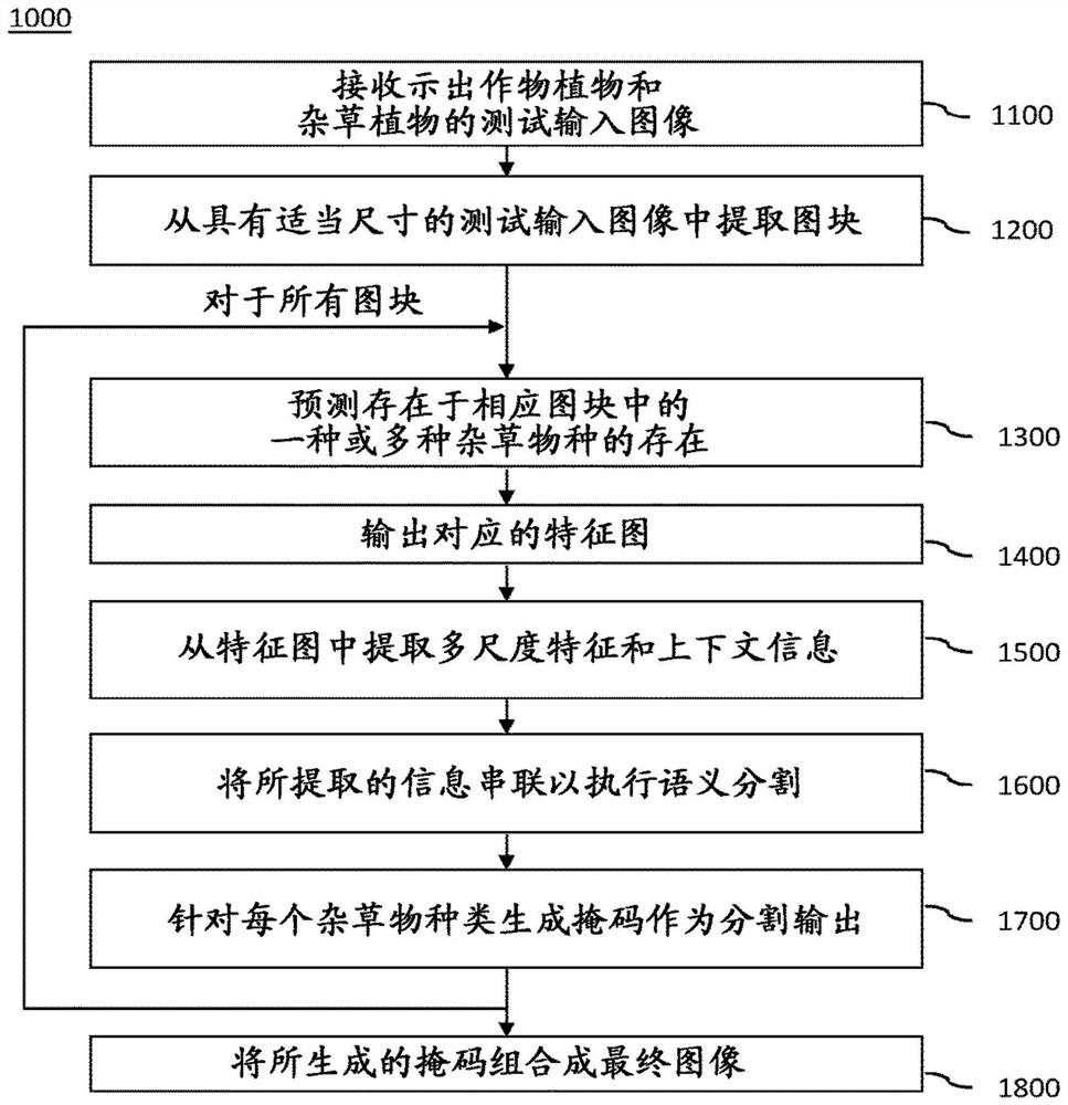 Systems and methods for plant species identification