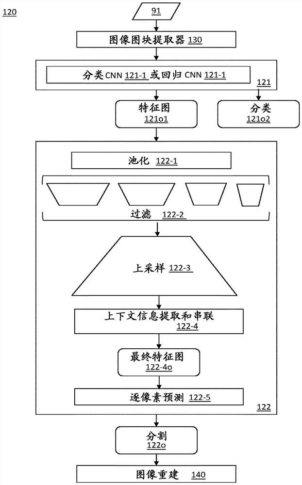 Systems and methods for plant species identification