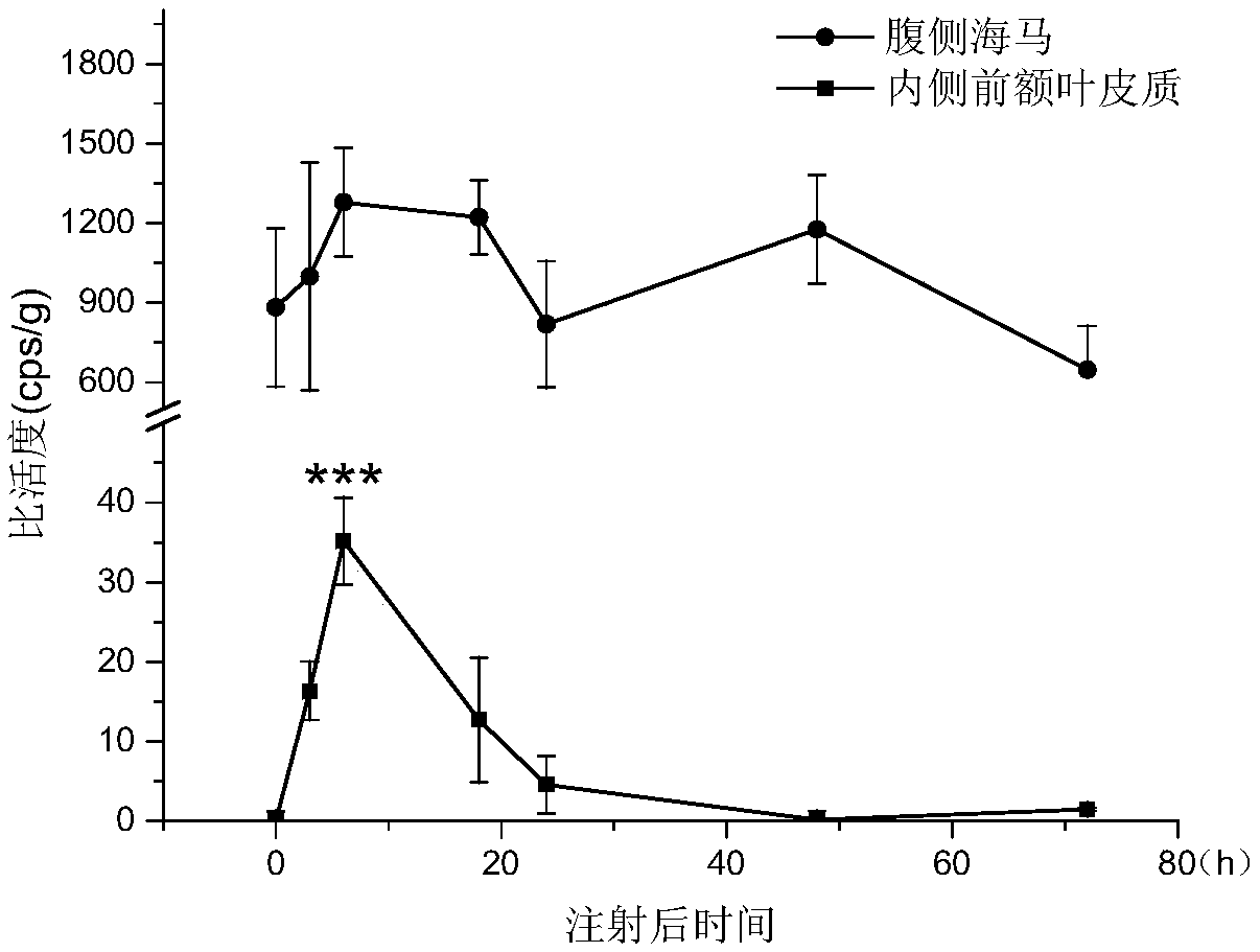 Application of drug for increasing iron transport from ventral hippocampus to medial prefrontal cortex in preparation of drugs for treating neuropsychiatric diseases