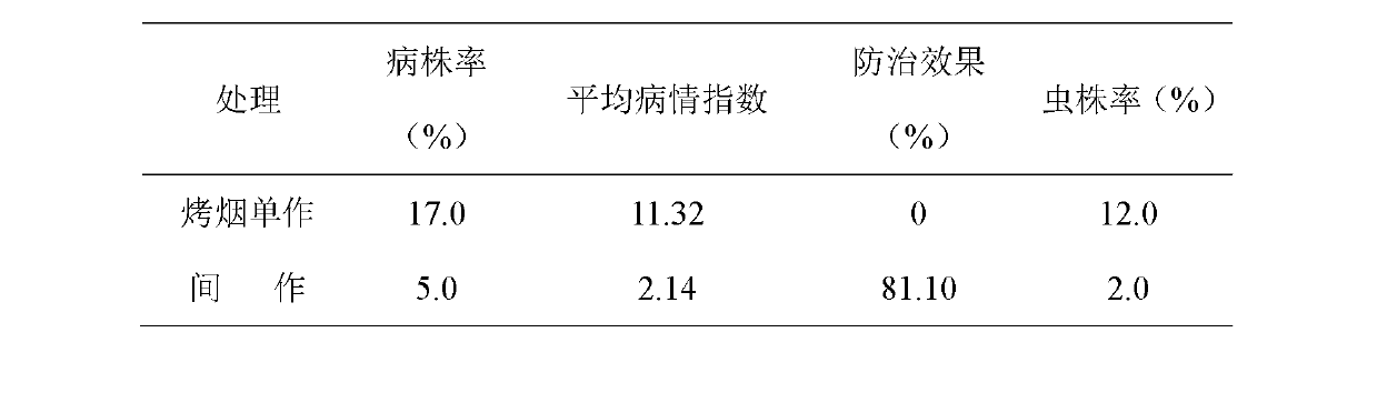 Method using lavender to control flue-cured tobacco plant diseases and insect pests