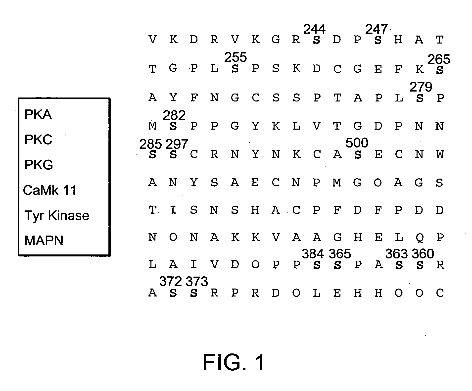 Compositions and methods for modulating connexin hemichannels