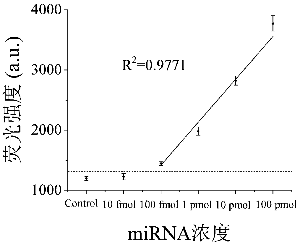 Intracellular micro-RNA non-enzymatic amplification detection method based on electrostatic affinity nano-transporter and cell imaging