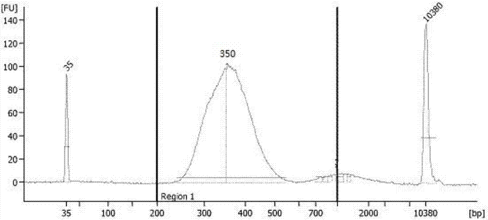 A molecule adaptor and applications thereof