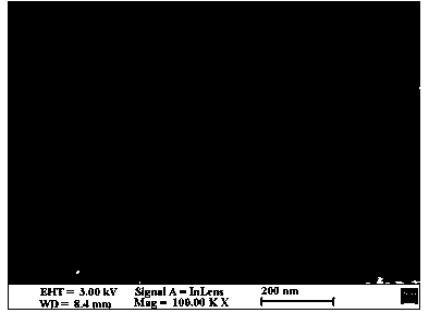 Pennisetum sinese porous carbon-based solid catalyst and preparation method thereof