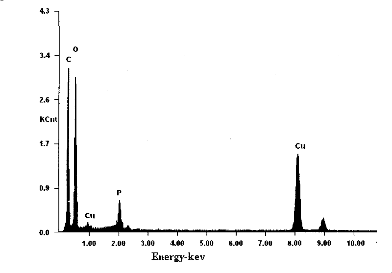 Method for preparing phosphorus-ordered mesoporous carbon carrier and fuel-cell catalyst containing the carrier