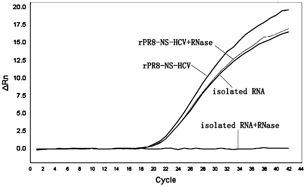 A kind of quality control product and preparation method thereof for HCV nucleic acid detection with influenza virus as carrier