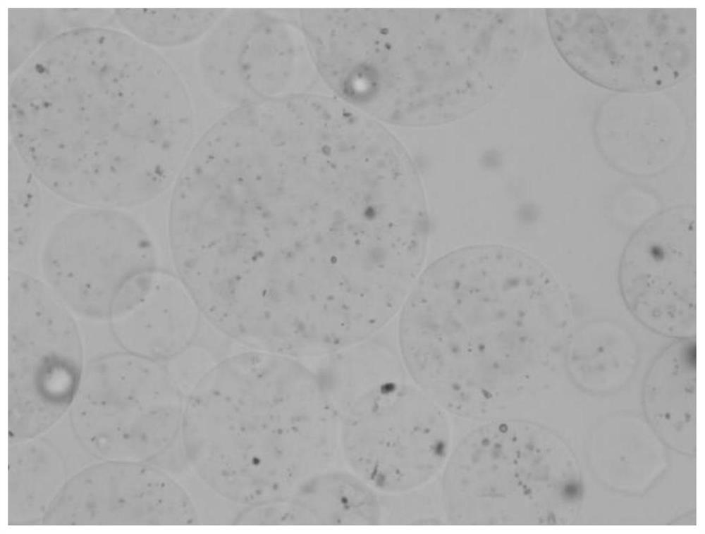 Time and temperature indicator based on polydiacetylene liposome and preparation method of time and temperature indicator