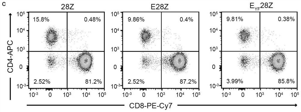 Chimeric antigen receptor containing CD3 epsilon intracellular region with Y/F mutation and application of chimeric antigen receptor