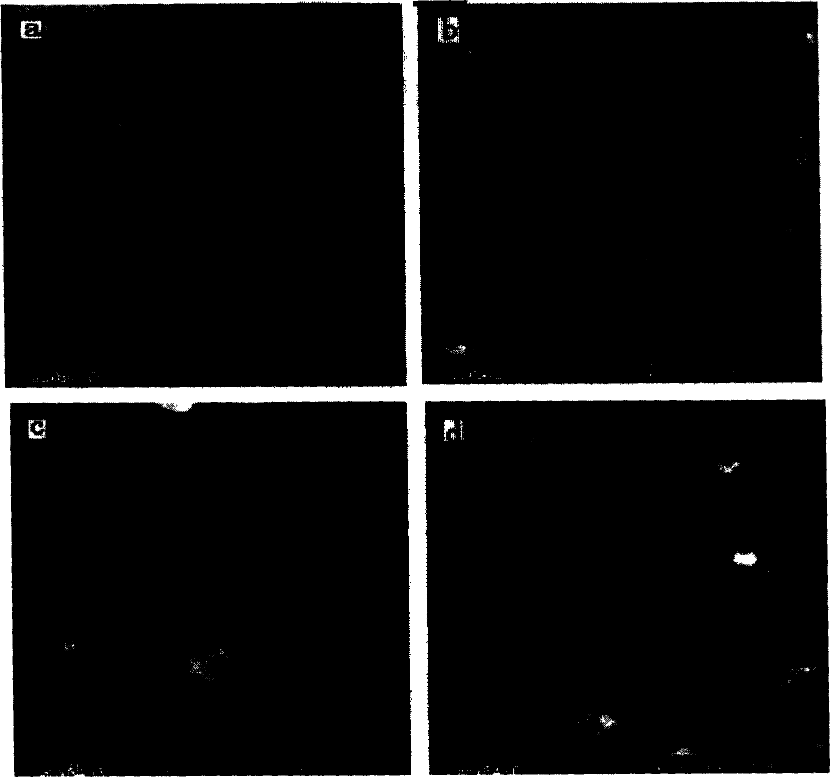 Reduced catalyst of mono fluorin, and preparation method and usage