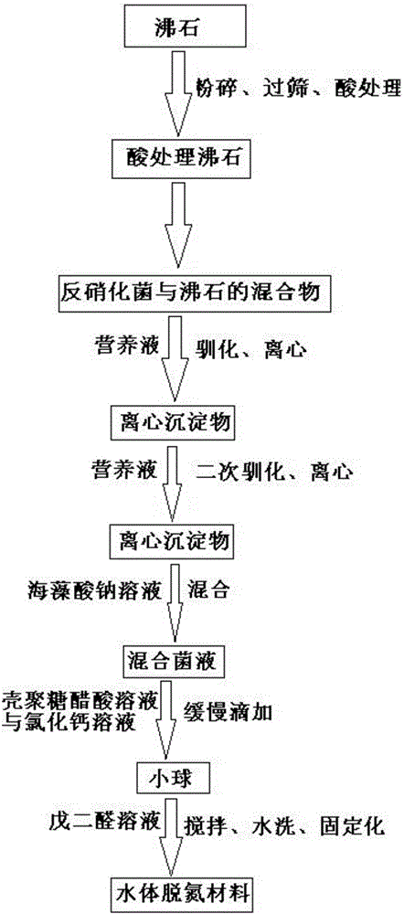 Preparation method of water body denitrification material