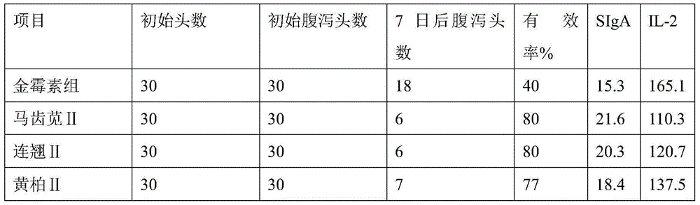 An antibacterial traditional Chinese medicine microbial fermentation preparation and a preparation method and application thereof