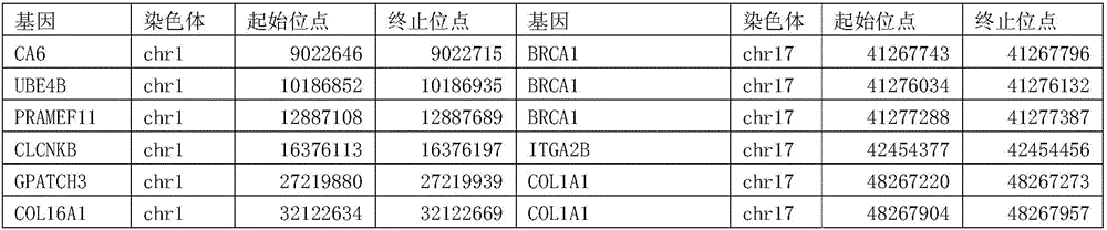 Probe for detecting circulating tumor DNA (Deoxyribonucleic Acid) of human breast cancer and application of probe