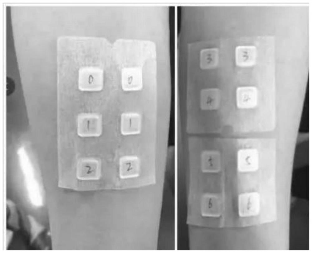 Preparation method of antioxidant essence acting on skin cells