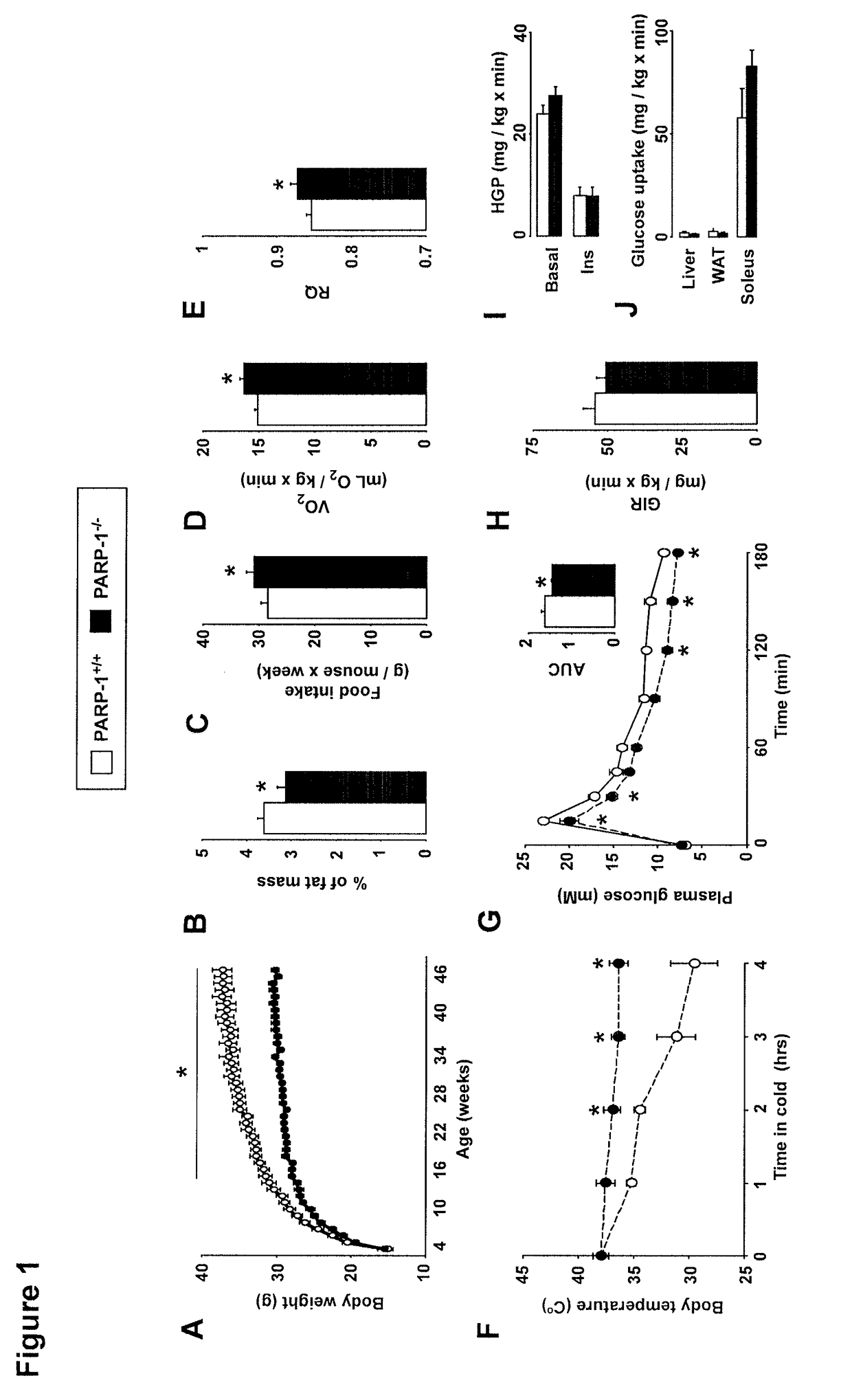 Methods of treating mitochondrial dysfunction