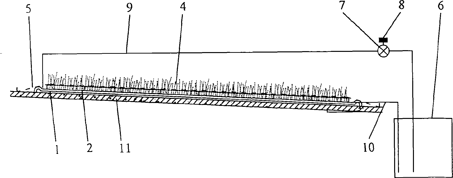 Roof water-cultured lawn greening method and cultivation system