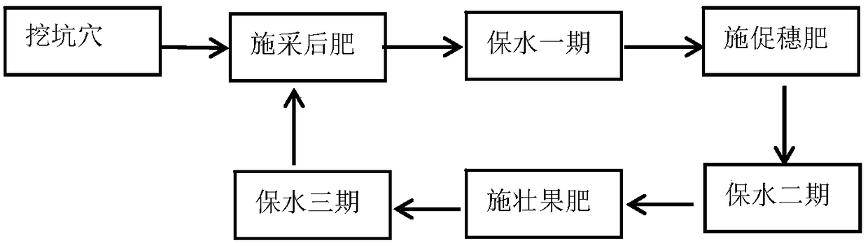 A kind of mountain mango fertilization method