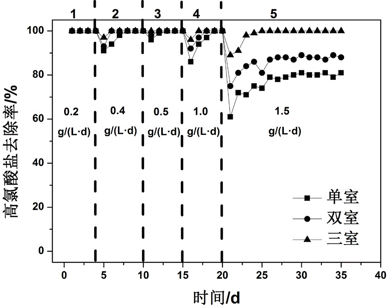 Multi-chamber fixed-bed biomembrane reactor and method for treating perchlorate in sewage using same