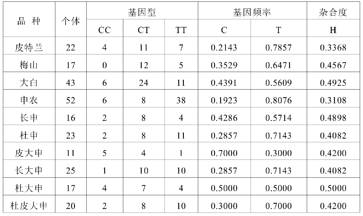 SNP molecular markers for traceability on pig chromosome 6 and its application