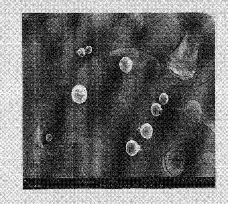 Levodopa methyl ester slow-release microsphere composition and preparation method thereof