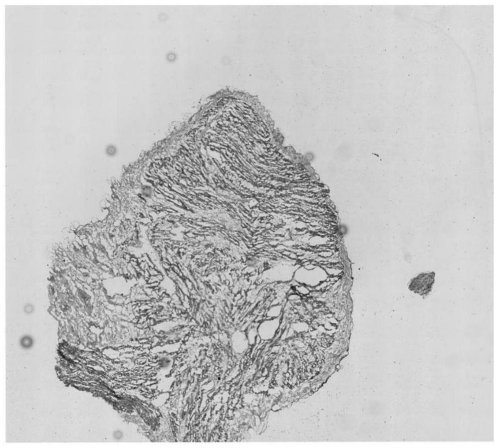 Spatial transcriptome constructing method