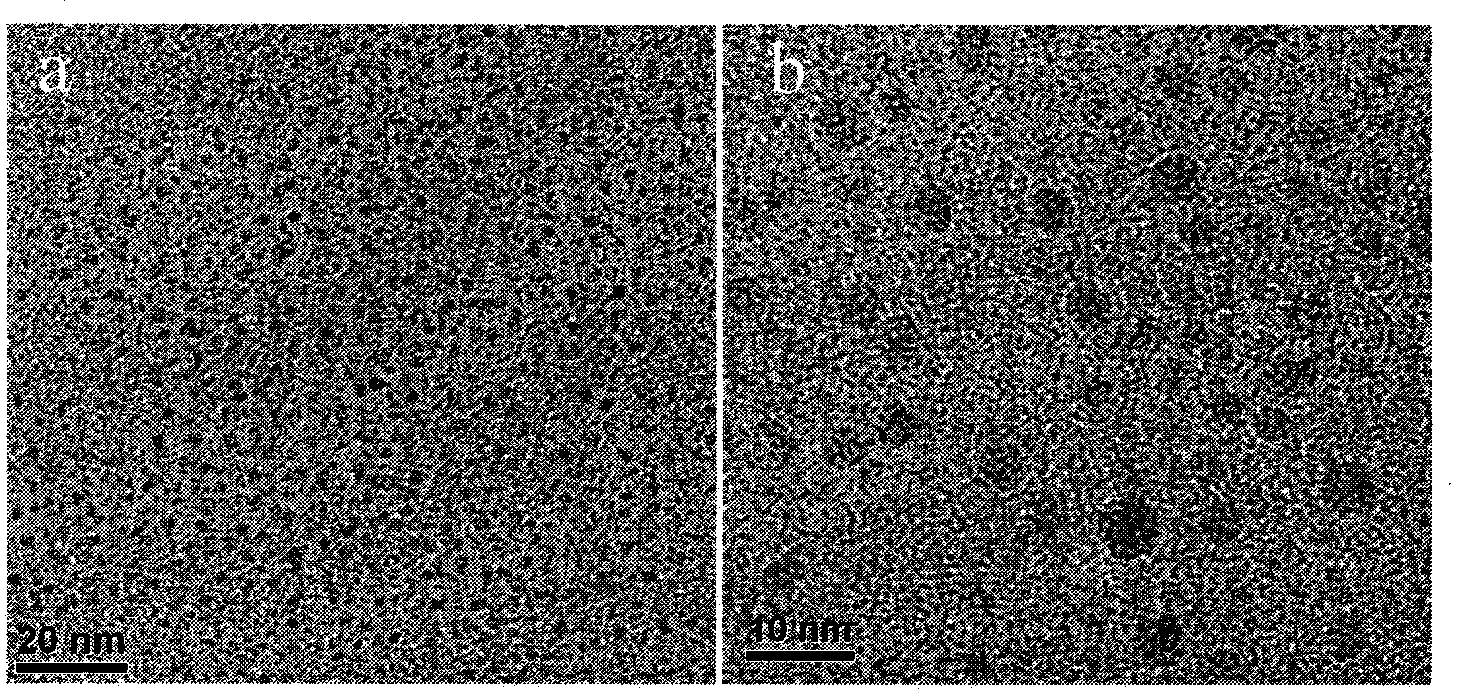 Method for preparing carbon dots with hydrothermal process on basis of plant leaves