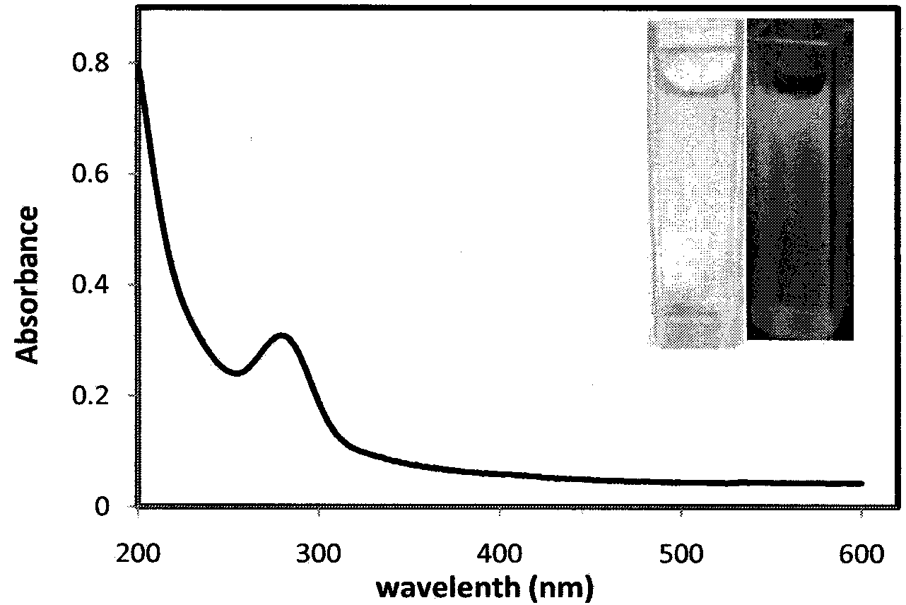 Method for preparing carbon dots with hydrothermal process on basis of plant leaves