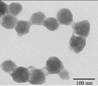 Preparation method and application of immune gel for regulating and controlling tumor microenvironment